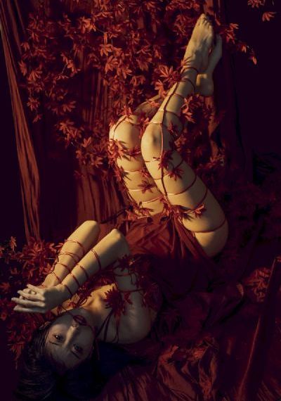 欧美日本精品免费_1080P最新电影在线观看